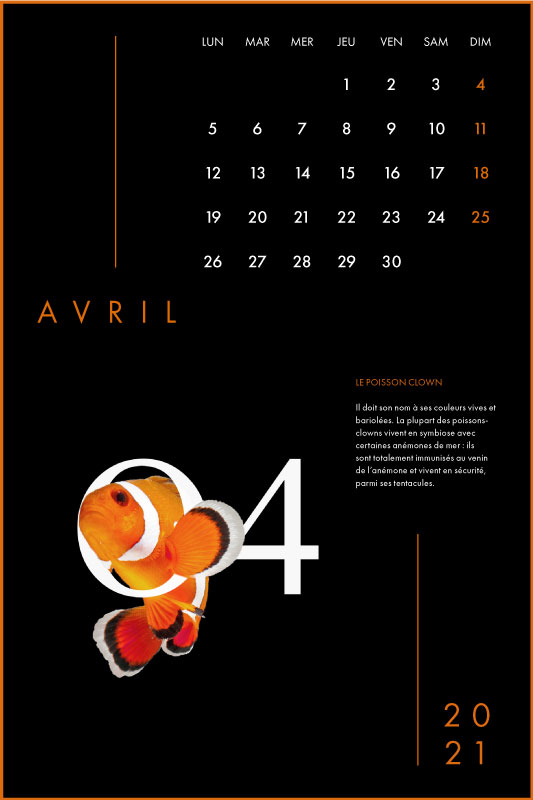Clara Barton Graphisme Genève Lausanne Nyon print calendrier 4