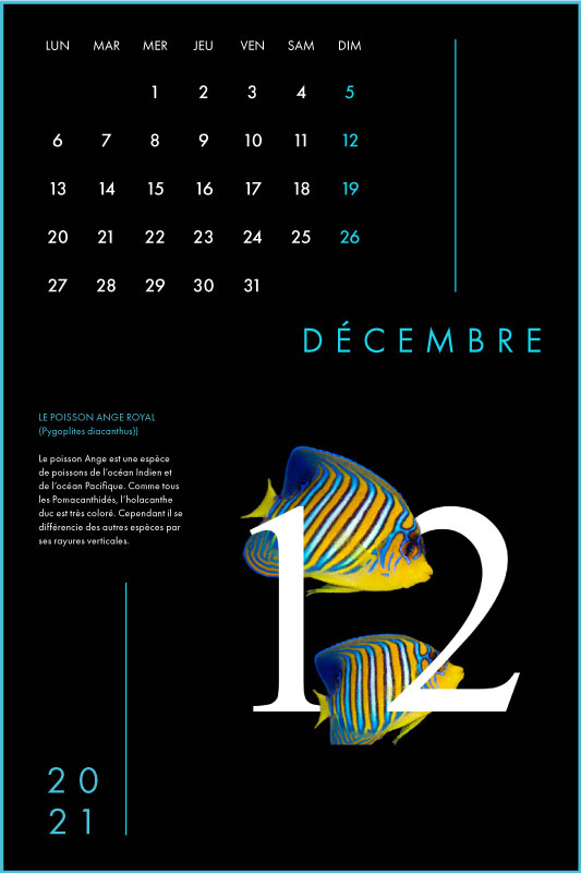 Clara Barton Graphisme Genève Lausanne Nyon print calendrier 12