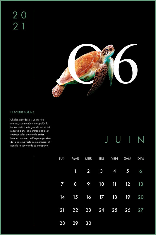Clara Barton Graphisme Genève Lausanne Nyon print calendrier 6