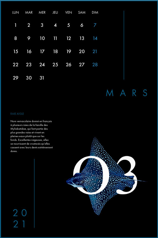 Clara Barton Graphisme Genève Lausanne Nyon print calendrier 3