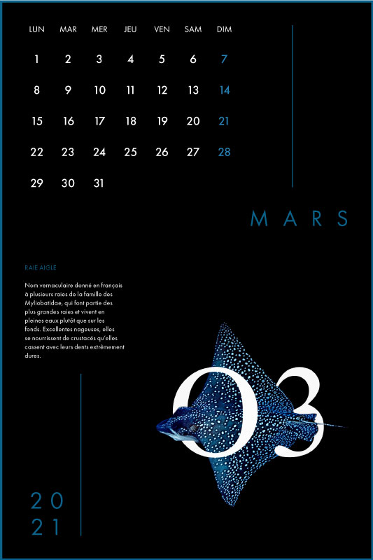 Clara Barton Graphisme Genève Lausanne Nyon print calendrier 3