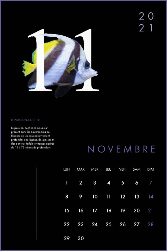 Clara Barton Graphisme Genève Lausanne Nyon print calendrier 11