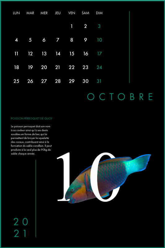 Clara Barton Graphisme Genève Lausanne Nyon print calendrier 10