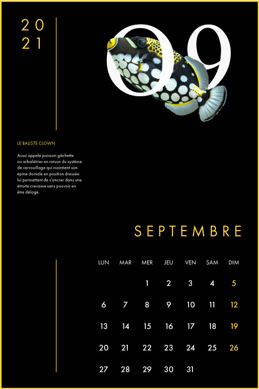 Clara Barton Graphisme Genève Lausanne Nyon print calendrier 9